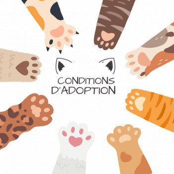 Conditions d'adoption